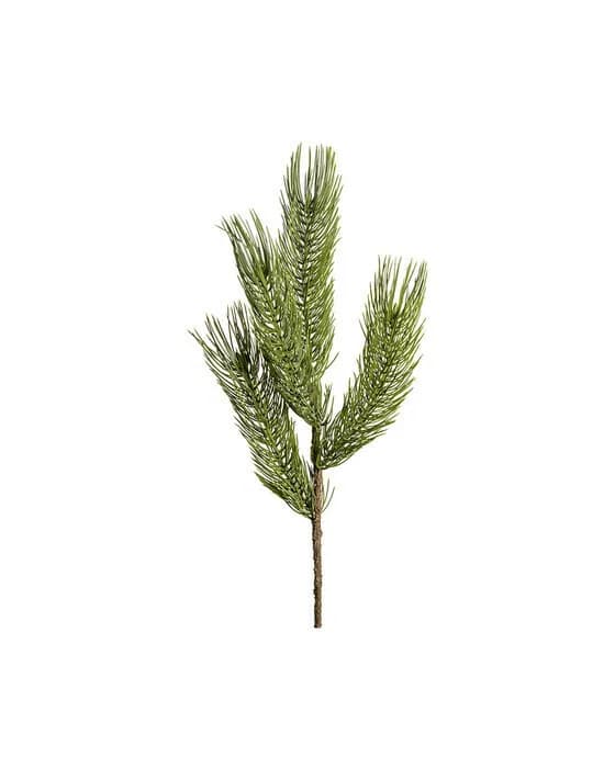 Forrest Tannenzweig Schnittblume grün