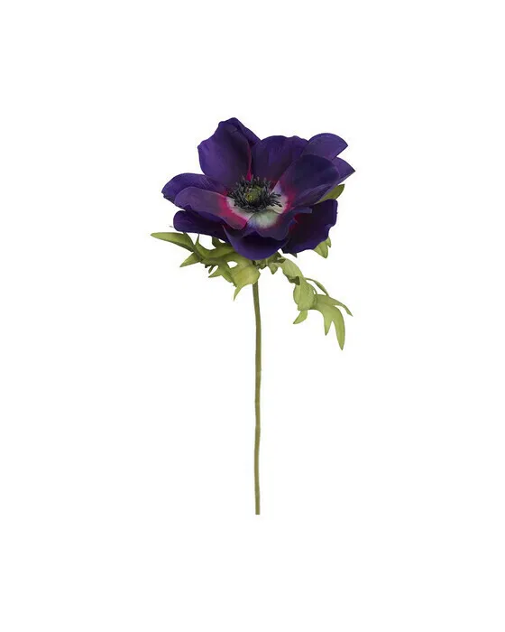 Anemone Schnittblume blau