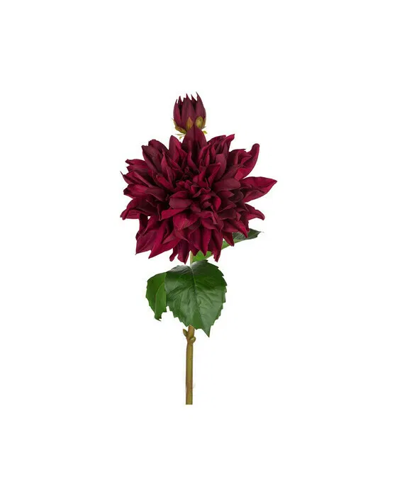 Dahlie schnittblume burgunder