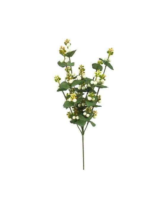 Snowberry Cut Flower White
