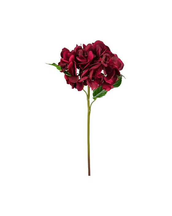 Hortensie Schnittblume burgundy
