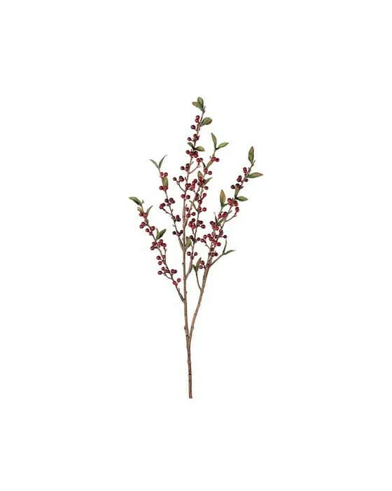 Beerenzweig Schnittblume rot