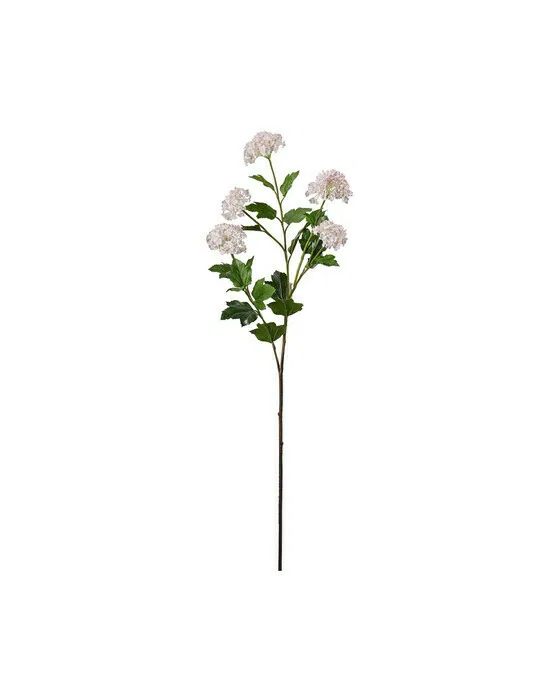 Schneeball Schnittblume weiß