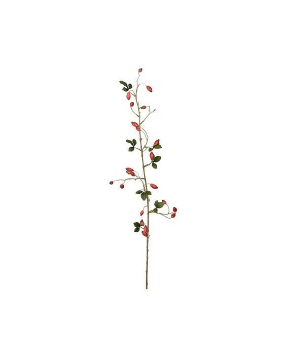 Hagebutte Schnittblume rot