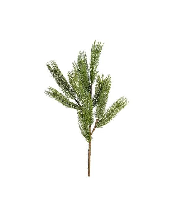 Forrest Tannenzweig Schnittblume grün