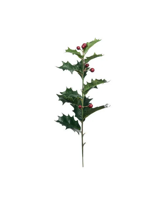 Holly Stechpalme Schnittblume