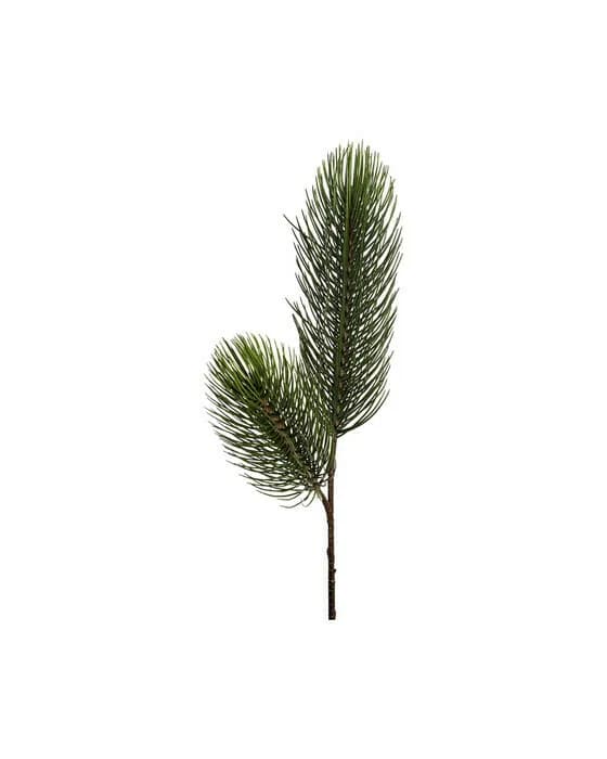 Evan Pine Twig Green