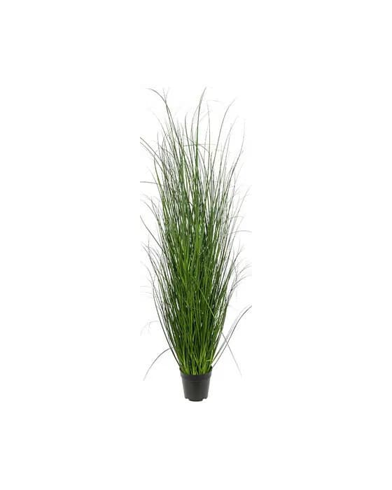 Mr Plant, Gras 140 cm