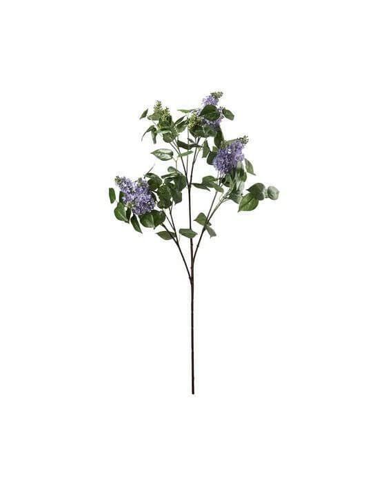 Fliederzweig Schnittblume blau