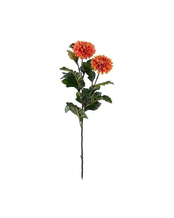 Chrysantheme Schnittblume Orange