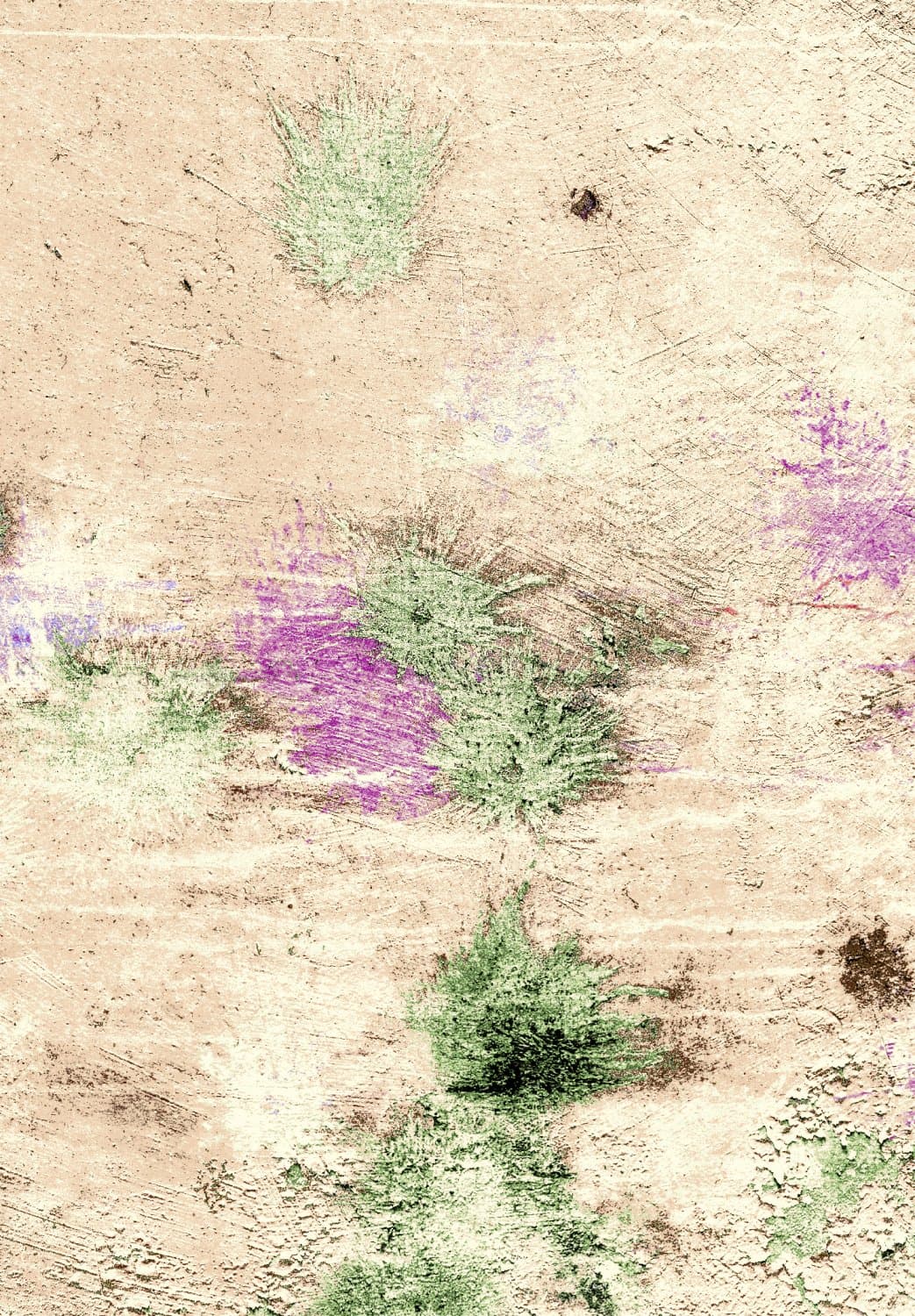 Wilton-Teppich - Dimos (beige/multi) (Größe: 200 x 280 cm)