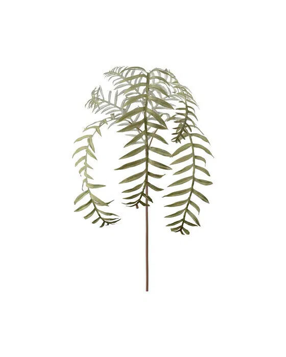 Fern Leaf Green