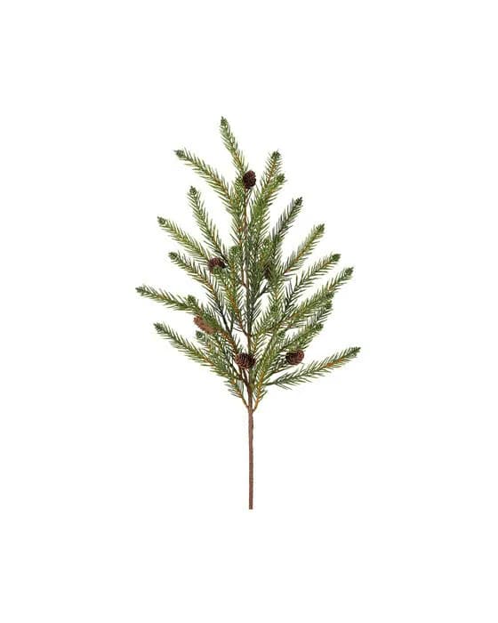 August Spruce Twig Cones