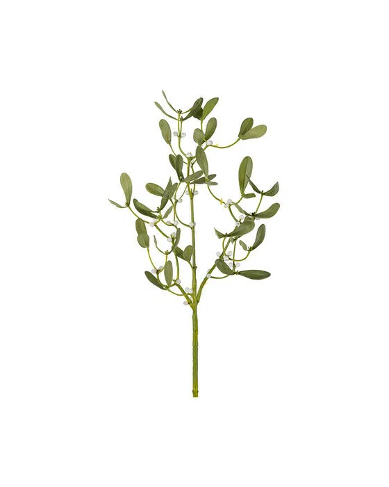 Mistel Schnittblume grün