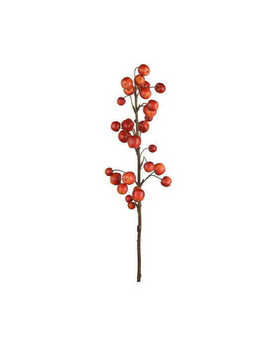 Apfelzweig Schnittblume rot