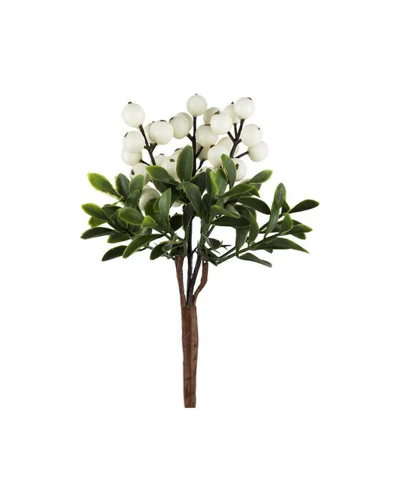 Julius Beerenzweig Schnittblume weiß