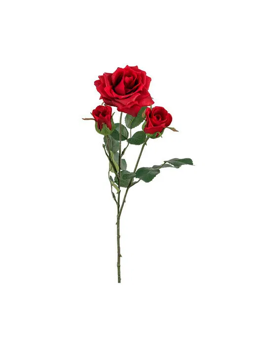 Rose Schnittblume rot