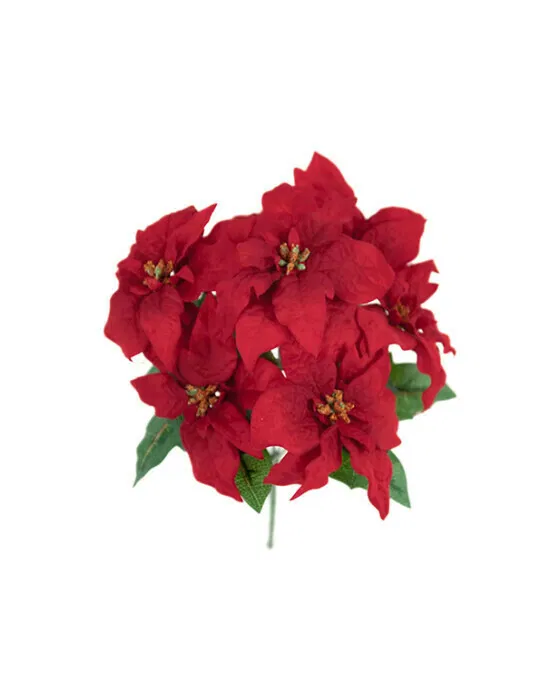 Weihnachtsstern Strauß rot