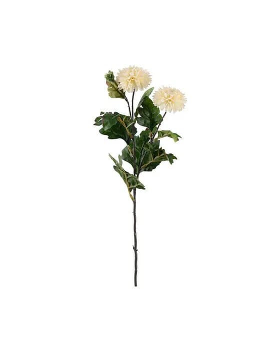 Chrysantheme Schnittblume Off-white