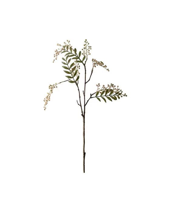 Beerenzweig schnittblume creme