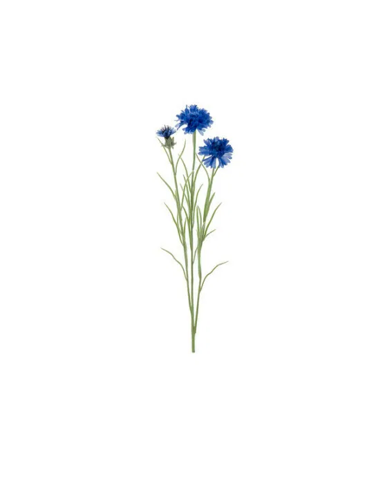 Kornblume Schnittblume blau