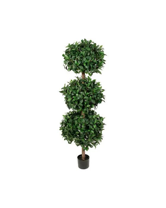 Mr Plant, Lagerbaum 150 cm