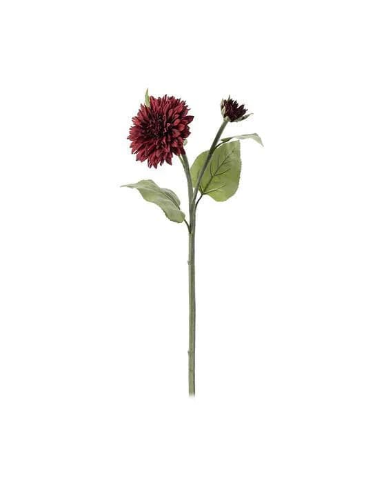 Schnittsonnenblume weinrot