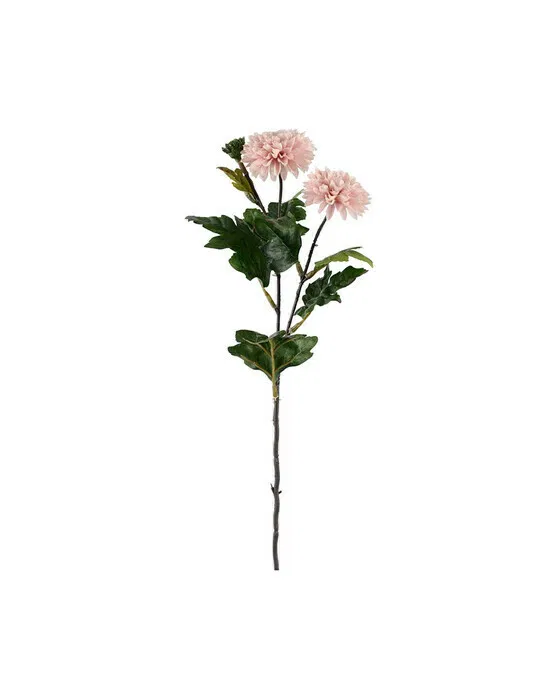 Chrysantheme Schnittblume hellrosa