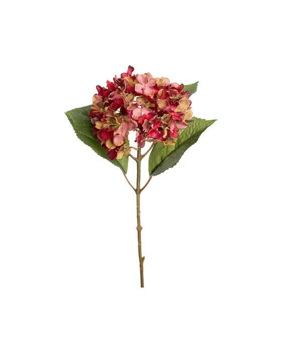 Hydrangea cut flower (red)