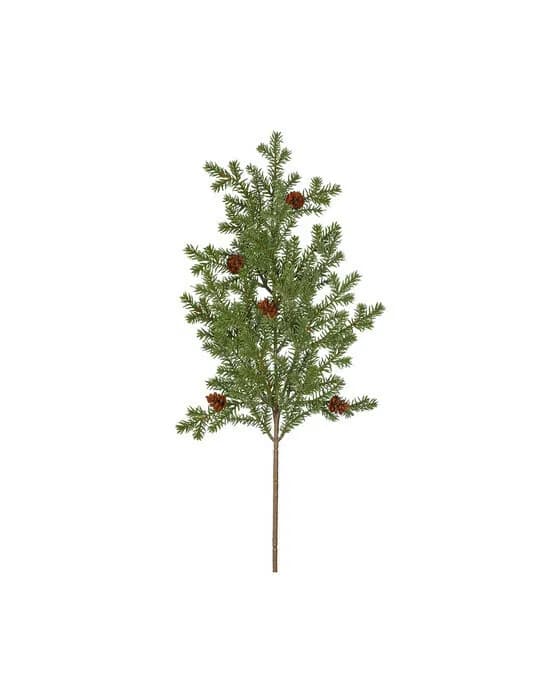 Wilfred Spruce Twig Cones