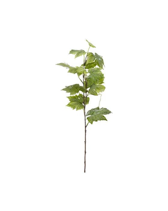 Currant Twig Green