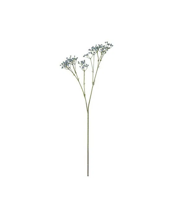 Schleierkraut schnittblume blau