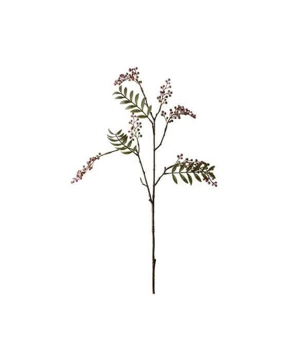 Beerenzweig Schnittblume Rosa