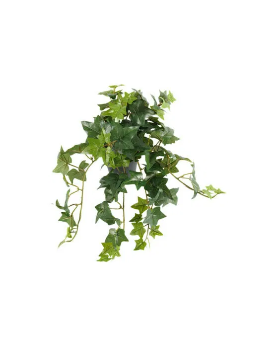Ivy Potted Plant Green