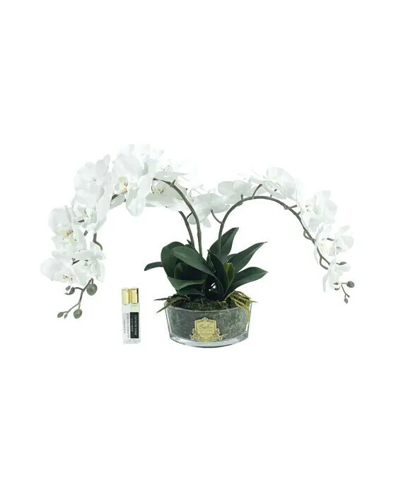 Orchidée Classique Gift Set