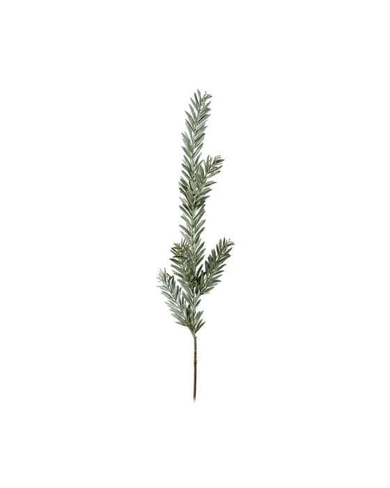 Grüner Schnittblumenzweig