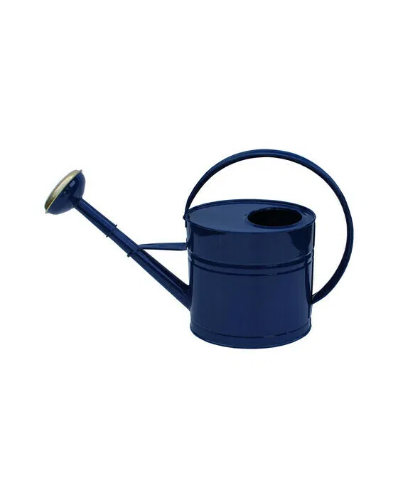 Watering Can Lacquered Blue