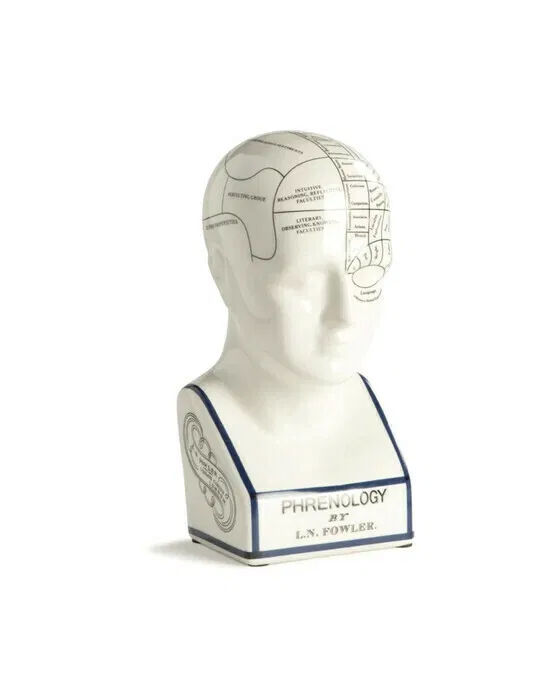 Phrenology head Dekoration