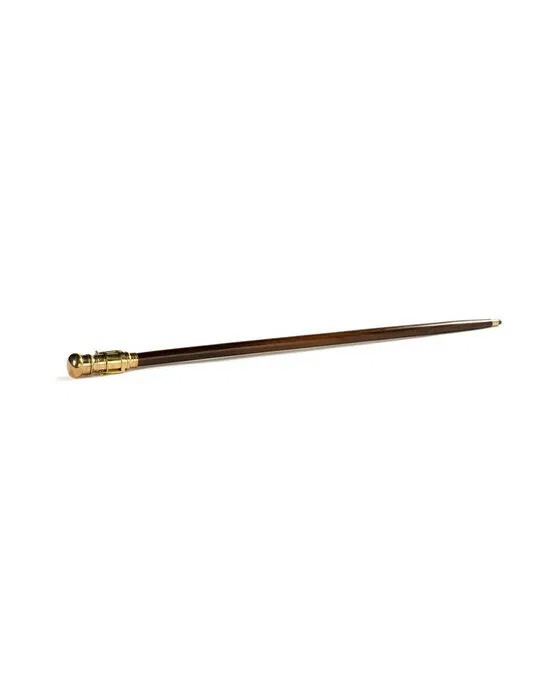 Telescope Walking Stick