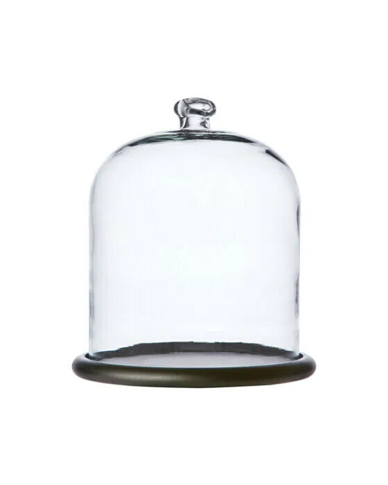Bella Bell Glass Dome Wood