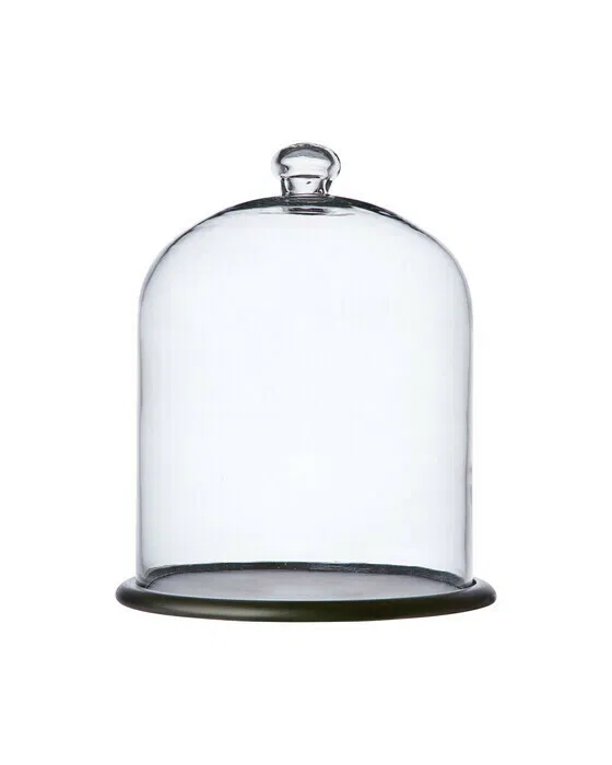 Bella Bell Glass Dome