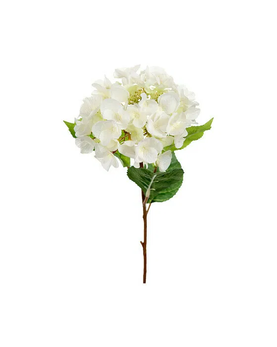 Hortensie Schnittblume weiß