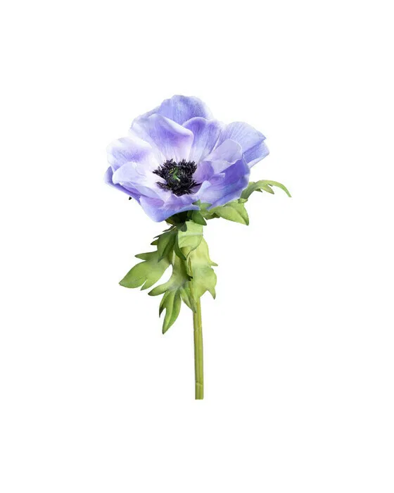 Anemone Cut Flower Blue