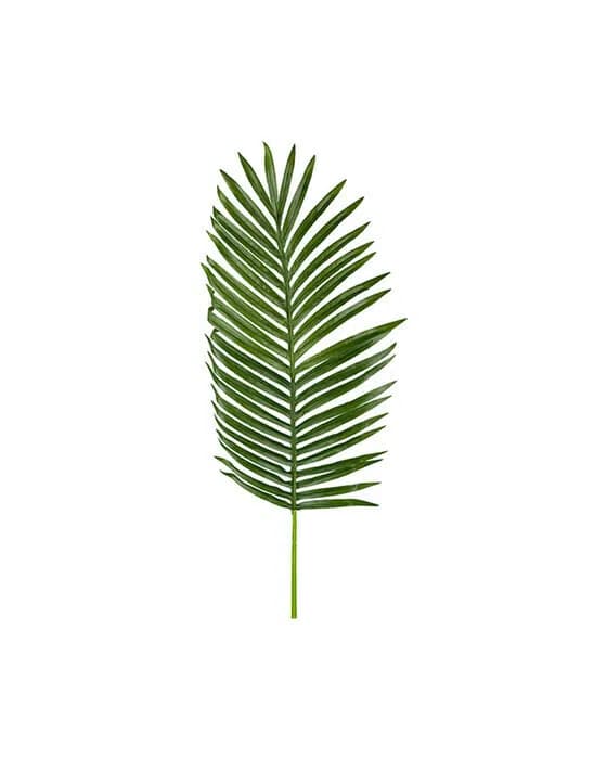 Palm Leaf Potted Plant Green
