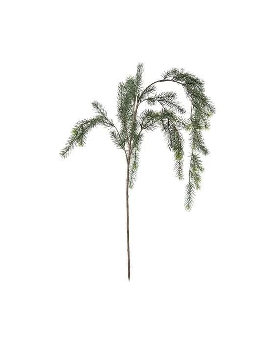 Tannenzweig Schnittblume grün