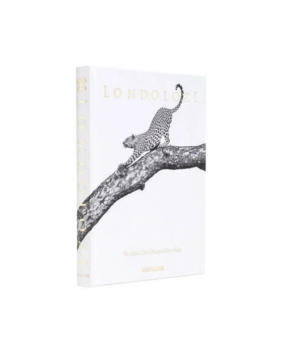 Londolozi, The Safari that Changed Everything