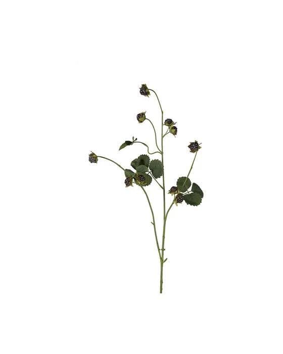 Brombeerzweig Schnittblume schwarz 95 cm