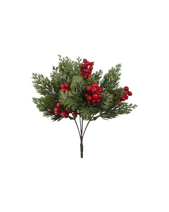 Winterbeeren Zweig rote Beeren