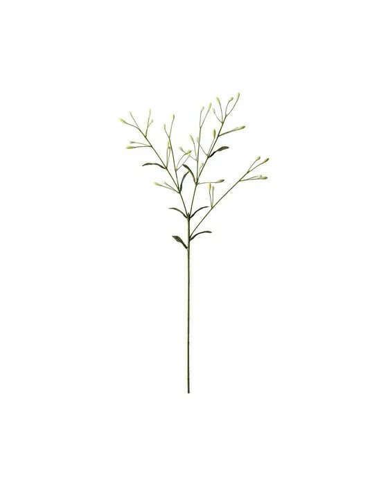 Beerenzweig Schnittblume Weiß