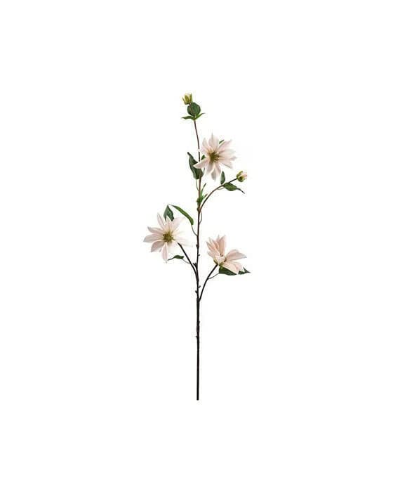 Clematis Schnittblume hellrosa